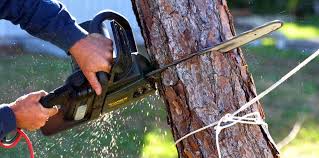 Best Commercial Tree Services  in Mount Pleasant, TN
