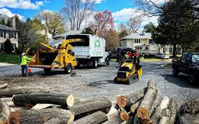 Best Stump Grinding and Removal  in Mount Pleasant, TN