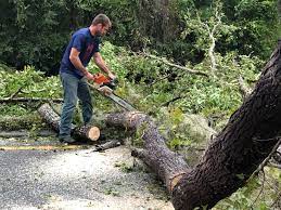 Best Tree Trimming and Pruning  in Mount Pleasant, TN