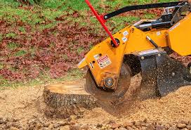 Best Lawn Grading and Leveling  in Mount Pleasant, TN
