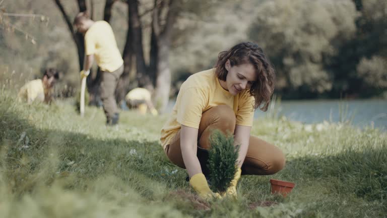 Best Lawn Maintenance Plans  in Mount Pleasant, TN