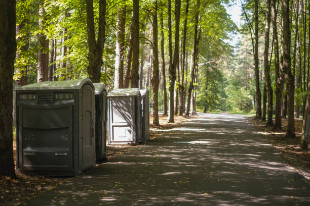 Professional Tree Removal in Mount Pleasant, TN